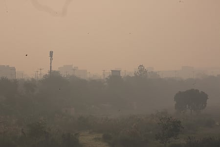 Smog chokes Delhi-NCR as AQI breaches 400 mark in several places