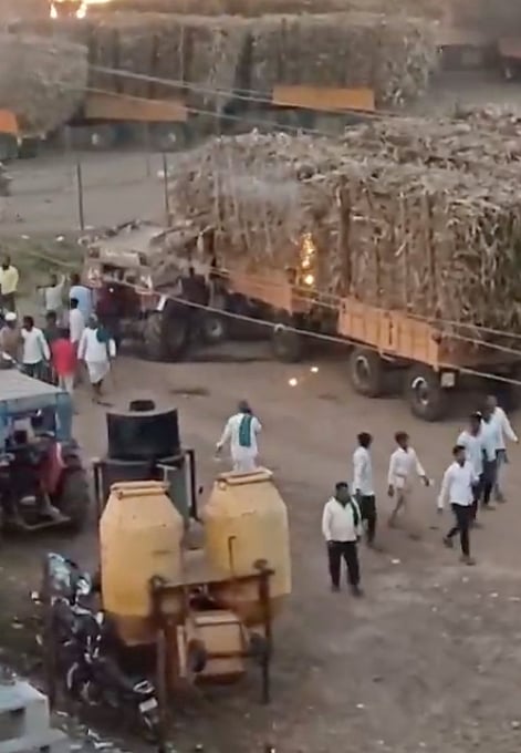 Sugarcane farmers end stir: Factories agree to pay Rs 3,300 per tonne