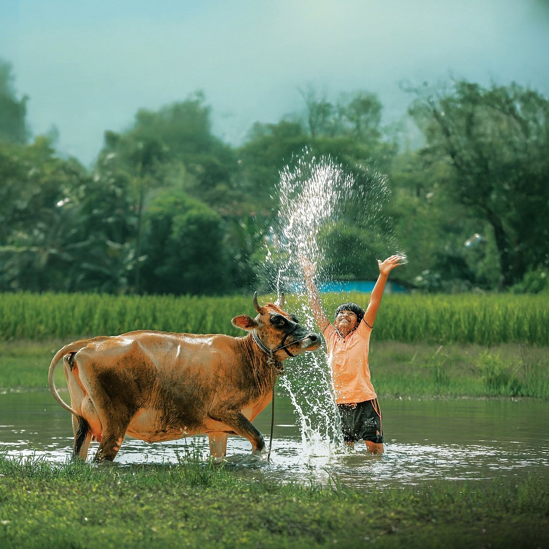 Why Sutan Gowda’s Valavaara is a breath of fresh air for Kannada cinema