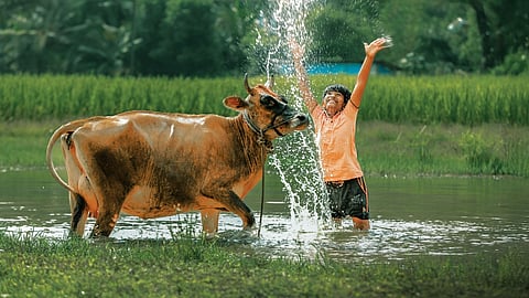 A still from 'Valavaara'