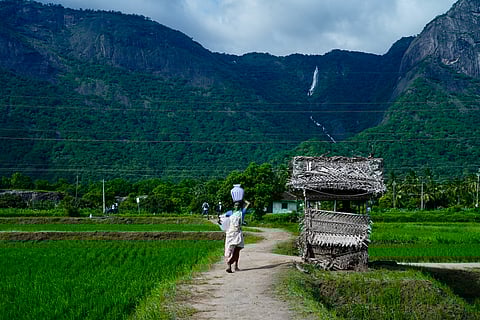 A woman carrying a container on her head walks through green paddy fields in Kollengode, with hills and a distant waterfall in the background.