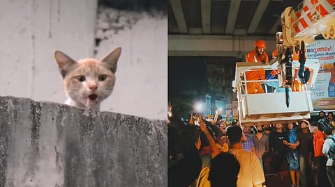 Cat 'Subhash' rescuing 