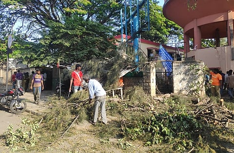 BWSSB employee killed after tree falls on car in Bengaluru