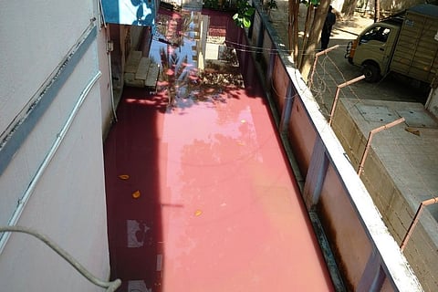 Chennai residents flummoxed by pink sewage water, calls to corporation go unheard