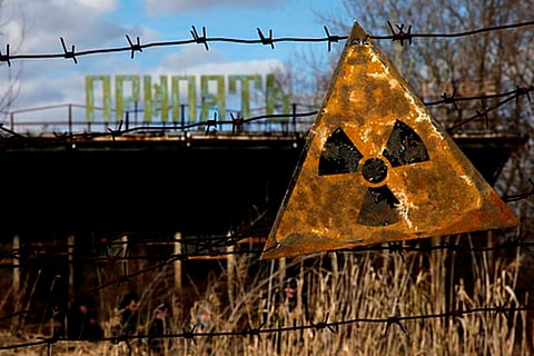 Wolves, boar and other wildlife defy contamination and make a comeback at Chernobyl