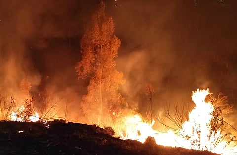 Several acres of forest land in Kerala’s Idukki gutted after massive fire