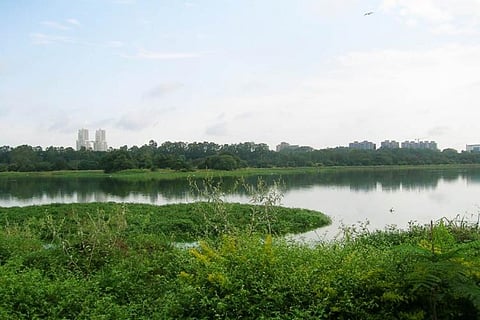 Hebbal Lake in Bengaluru