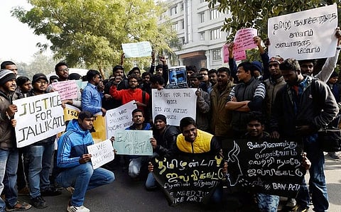  In posters: Colour, creativity and people’s power at jallikattu protest