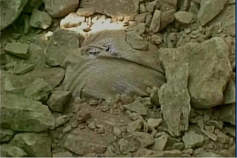 Bhopal man dies after workers construct road over pothole he fell into