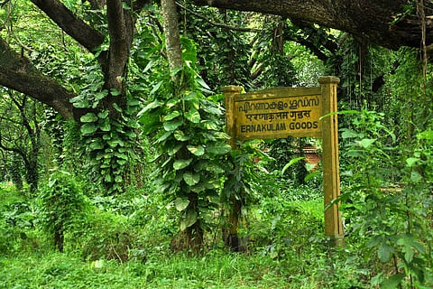 Abandoned Kochi railway station fades into oblivion with government apathy