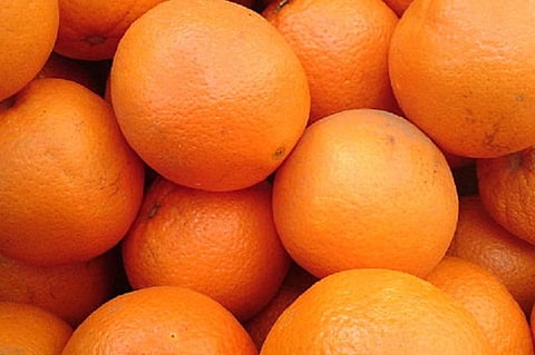Eat oranges to ward off heart disease and reduce diabetes risk