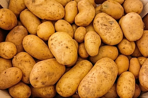 Can you survive eating nothing but potatoes?