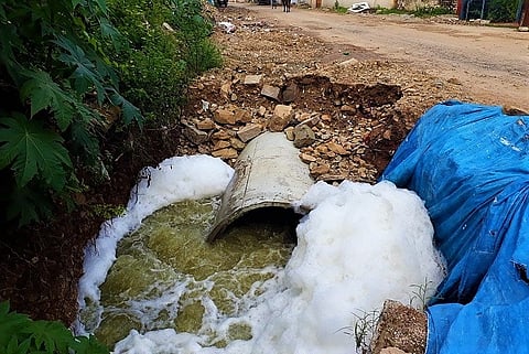 Hyderabad rains: RK Puram lake froths again as dumping of animal waste continues