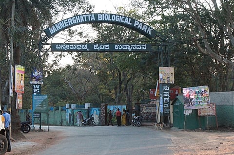 Stories and snippets from Bannerghatta Zoo keepers' diaries