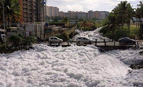 An Open Letter to Bengalureans from Bellandur Lake