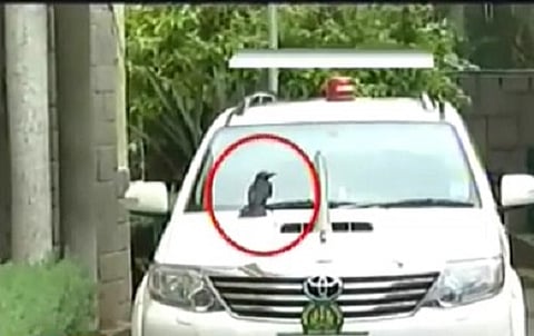 Karnataka CM refuses to eat ‘superstition’ crow, says new car bought as old one needed repairs