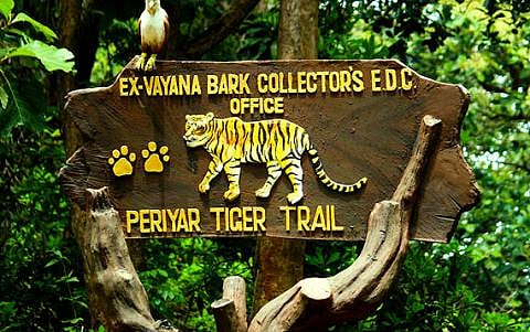 Once poachers and smugglers, they now protect the forests