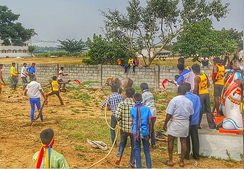 Jallikattu for teenagers