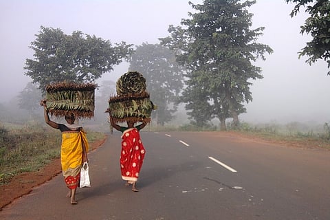 The tourist hotspot of AP's Lammasingi and the plight of its forgotten villagers