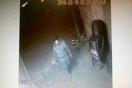 Delhi man stabs three stray dogs, gruesome act caught on camera