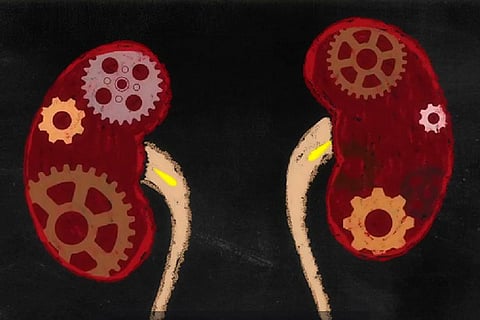 Do you hold your pee often? Watch this video to find out what that does to your body