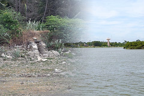 In pics: When Tirupur in Tamil Nadu came together to bring water back to a dead lake 