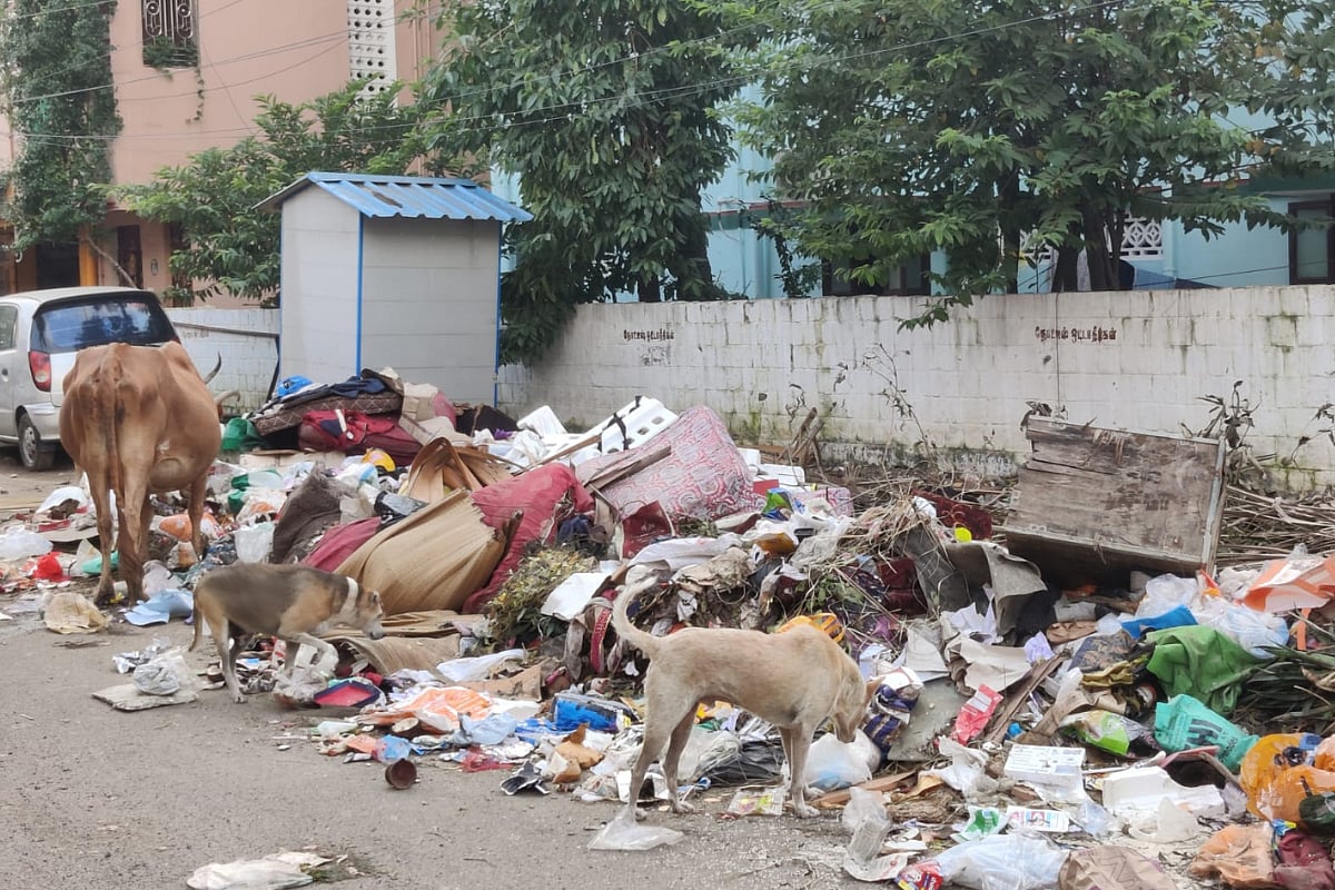 Chennai: Conservancy workers work around the clock, collect 37,511 ...