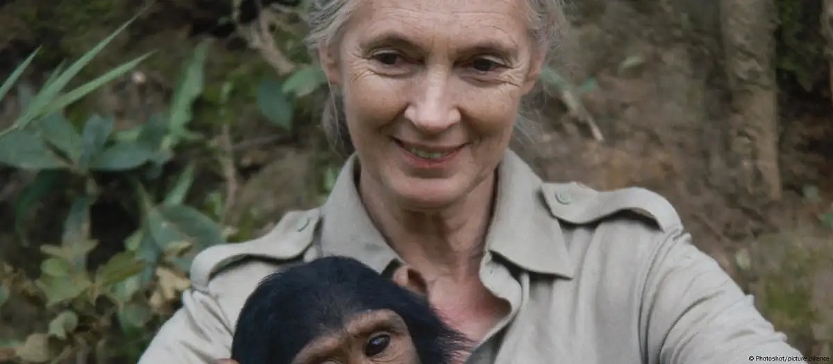 Primatologist Jane Goodall dies, aged 91