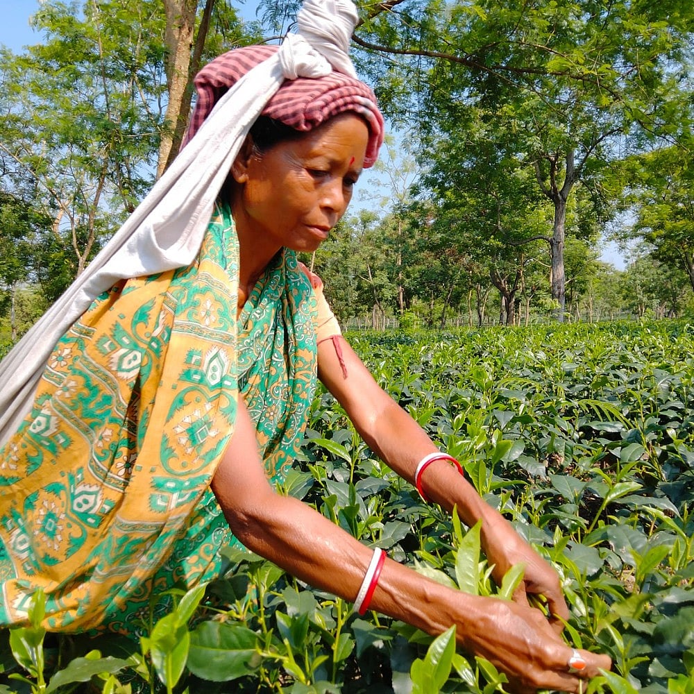 Internet Roshni for vulnerable tea tribe & Adivasi communities in Assam & West Bengal
