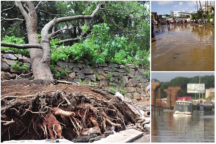 Buffer zones in Bengaluru lakes increase capacity, help mitigate floods