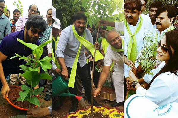 Telangana’s Haritha Haram gets star power