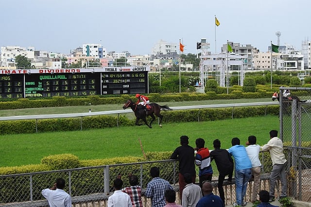 Hyderabad's tryst with horse racing: From a leisurely sport to a multi ...