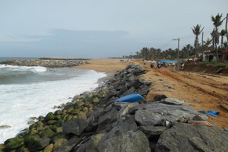 Marine heatwaves in Arabian Sea are threatening fish stocks, fisherfolk in Kerala