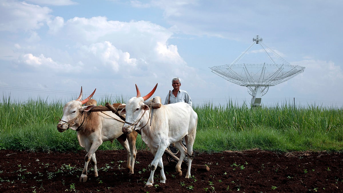 

<!--StartFragment-->A farmer uses his oxen to till his land in front of a satellite dish set up in an adjacent field. (Photo: Reuters<!--EndFragment-->
