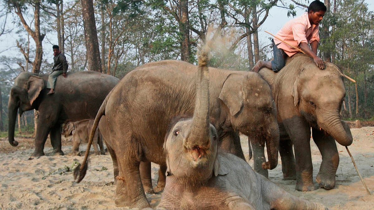 Image for representational purpose. (Photo: Reuters)