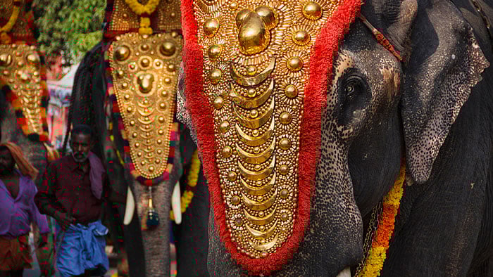 Elephant festival in Varkala, Kerala. (Photo:iStock)