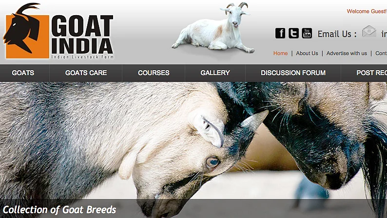 A website where you can buy and sell goats. (Photo: <a href="http://goatindia.com/">goatindia.com</a>)