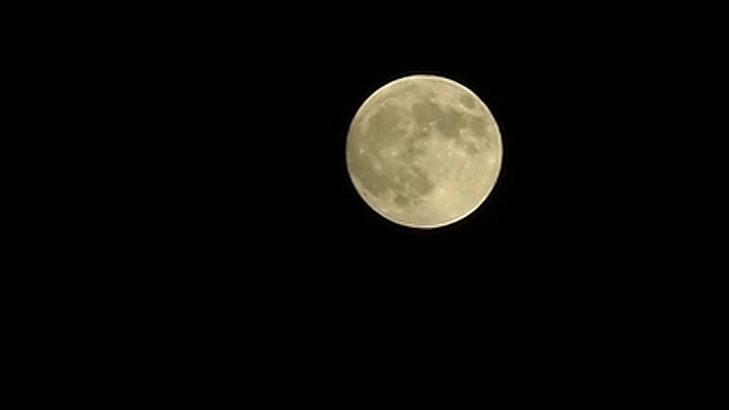 Supermoon Lunar Eclipse. (Photo: ANI screengrab)