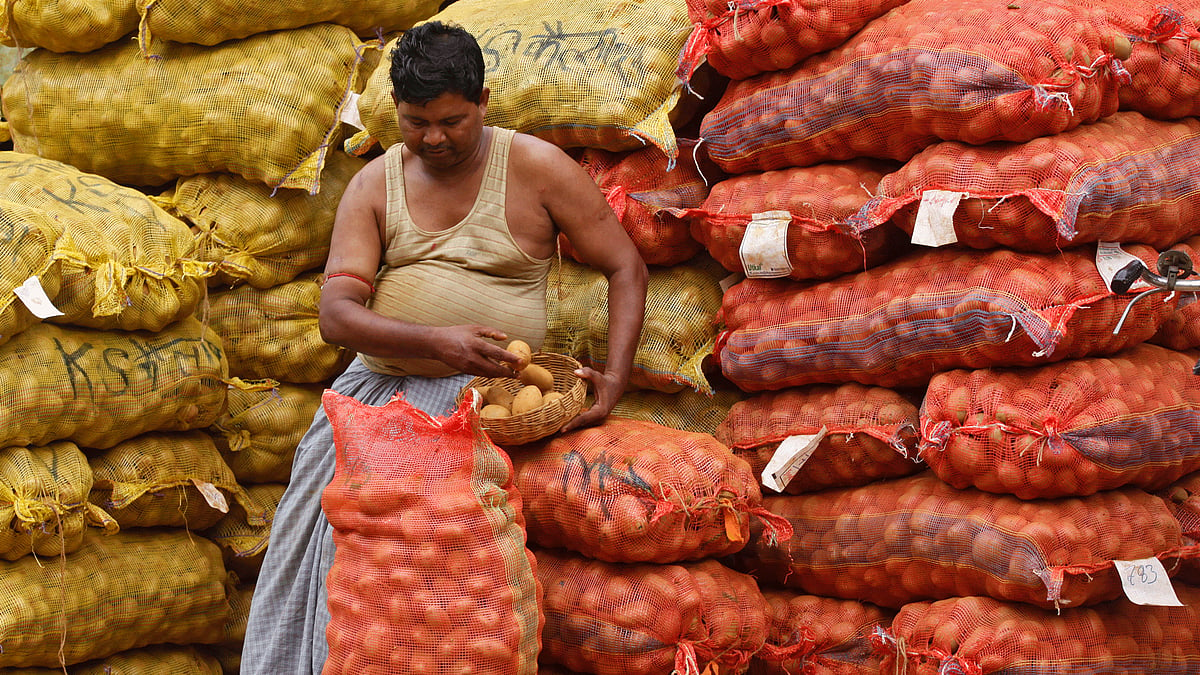 Potato farmers are reaping the woes of a bumper harvest. Image used for representational purposes.