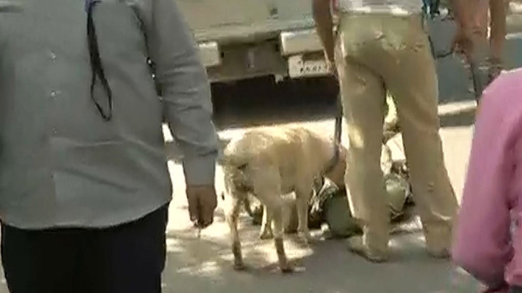 Police with dog squad at Bengaluru’s Cauvery theatre. (Photo: ANI screengrab)