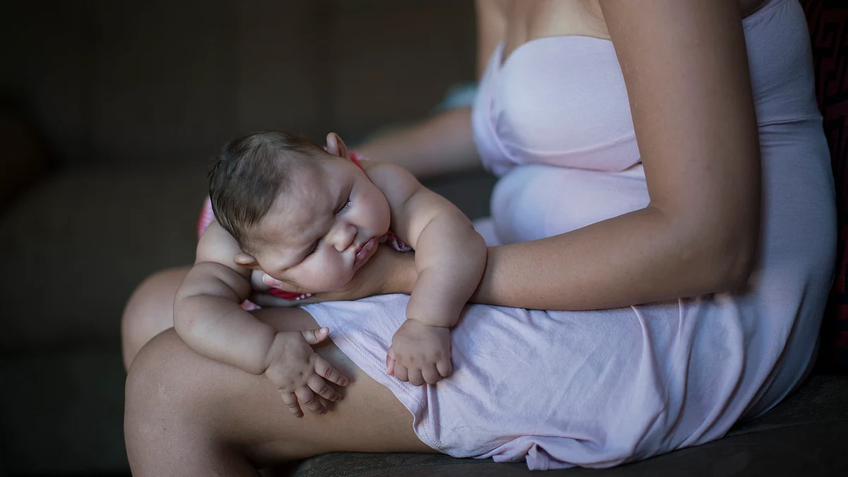 WHO says the Zika virus could infect three to four million people in the Americas. (Photo: AP)