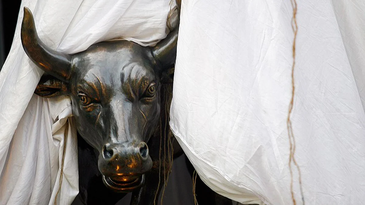 Bulls make a tentative comeback. (Photo: Reuters)