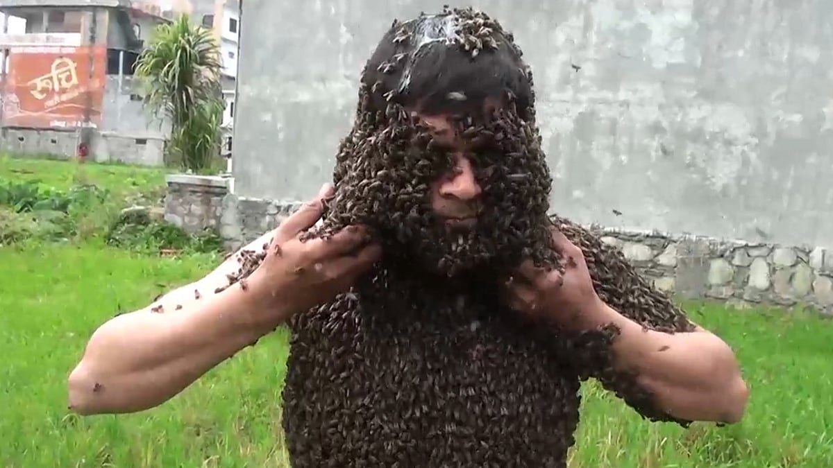 Nepalese beekeeper Surya Prasad Lamichhane has demonstrated his extraordinary resilience to bees – by covering himself with 30,000 of them. (Photo: AP/Caters TV screengrab)