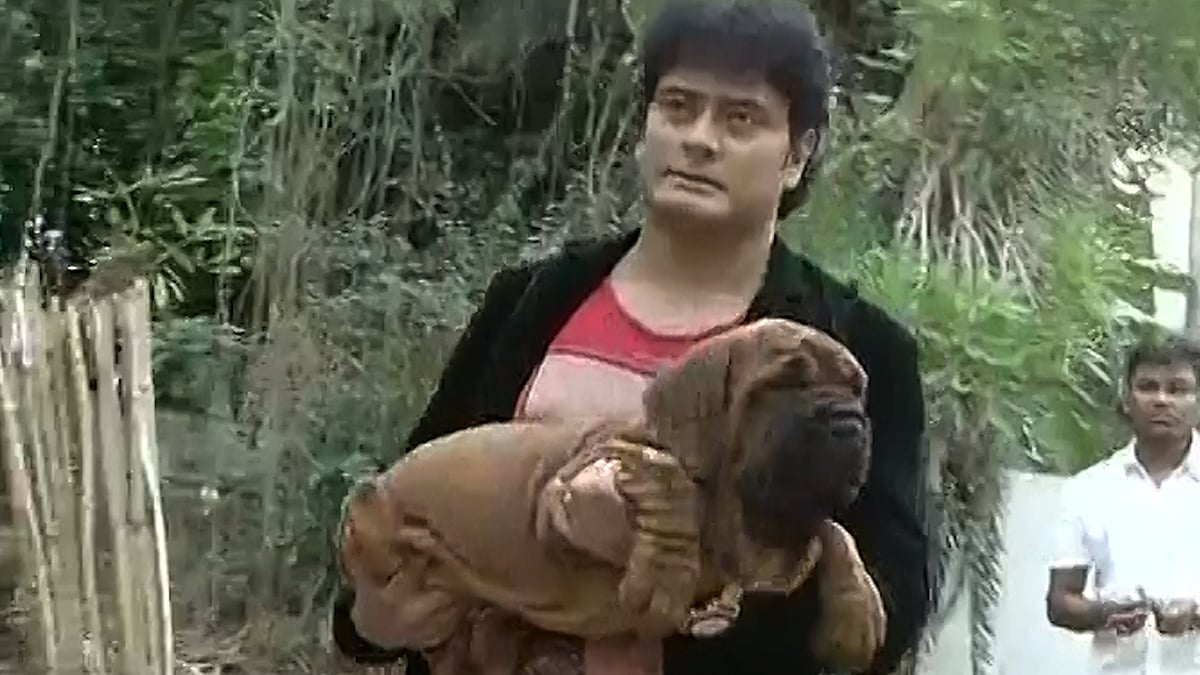 Bengalurean Satish, who has imported Korean Dosa mastiffs, claims to be the first owner of the Korean breed in India. (Photo: ANI screengrab)