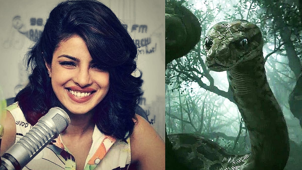 Priyanka Chopra is no match for Scarlett Johansson as Kaa in <i>The Jungle Book</i> (Photos: Twitter)