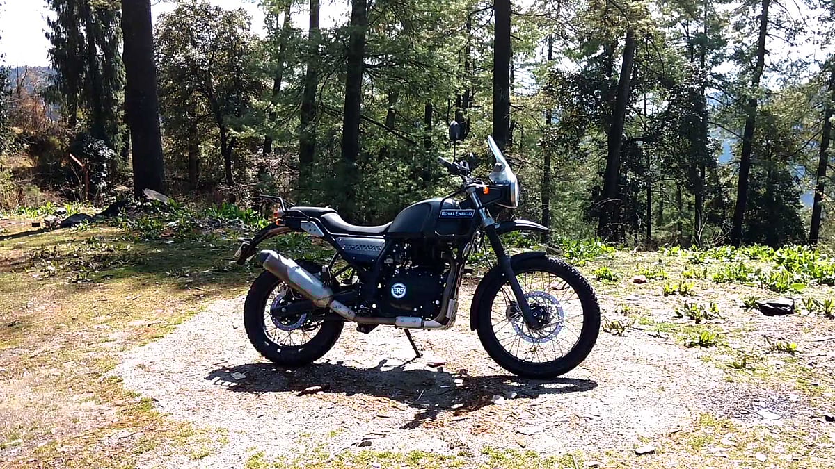 Royal Enfield Himalayan. (Photo: <b>The Quint</b>)
