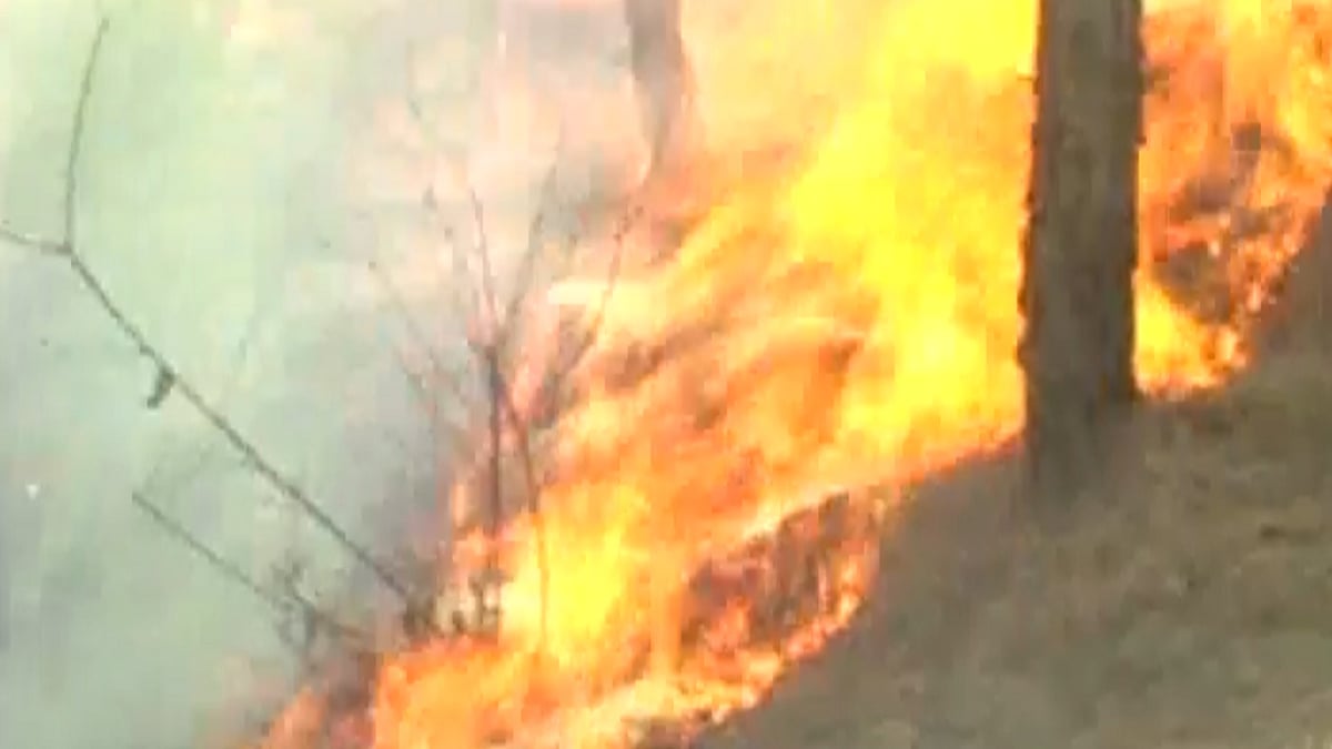 Raging forest fire in Uttarakhand has killed five people and blighted 1890.79 hectares of forest land in Kumaon and Garhwal regions. (Photo: ANI screegrab)