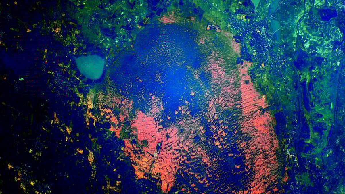 (Photo: Twitter/<a href="https://twitter.com/StationCDRKelly">@StationCDRKelly</a>)