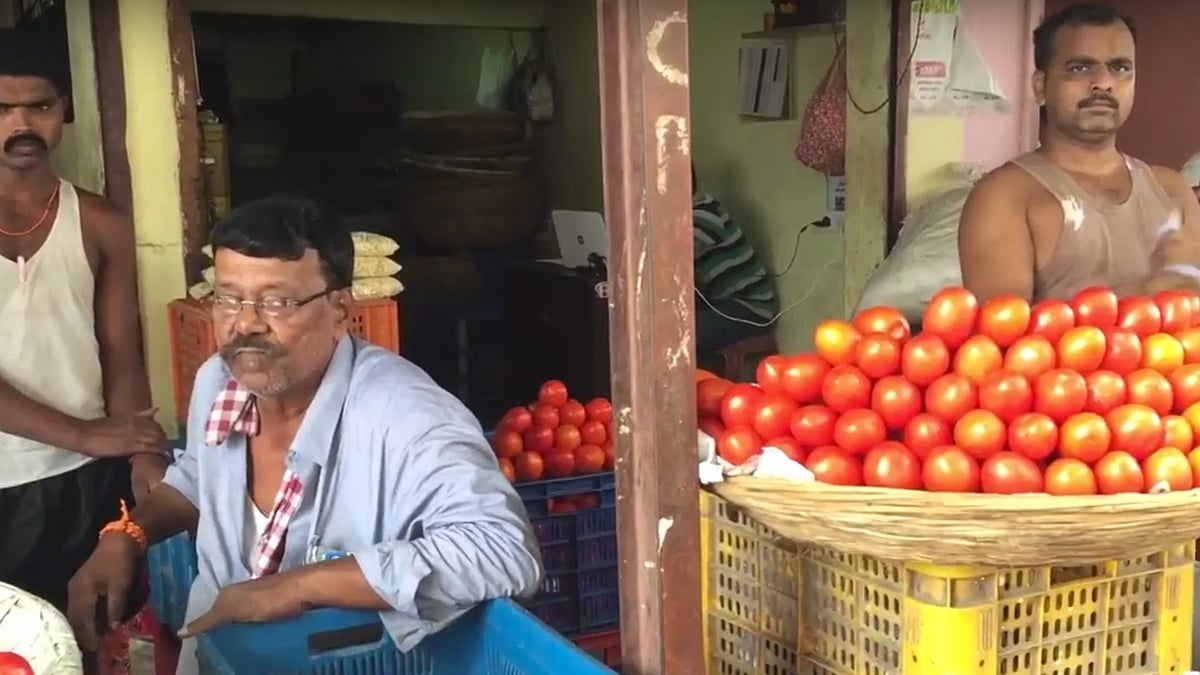 Tomato prices in Maharashtra are showing signs of dropping. (Photo Courtesy: <b>Bloomberg<i>Quint</i></b>)