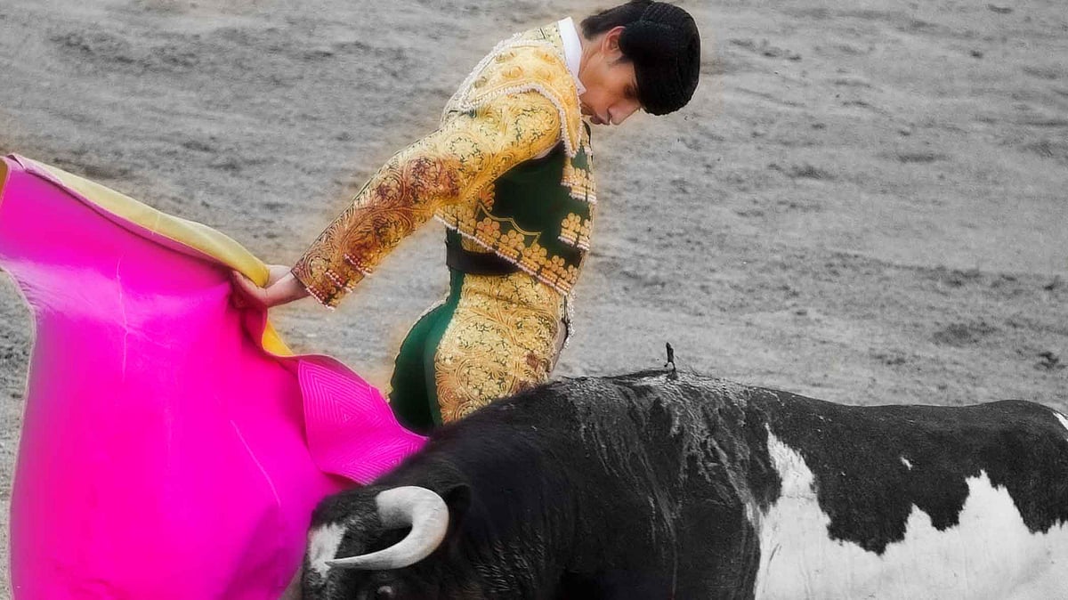 Matador Victor Barrio seen moments before his last Bull fight in Teruel bullring in Spain.(Photo Courtesy: AP Screegrab modified by The Quint)